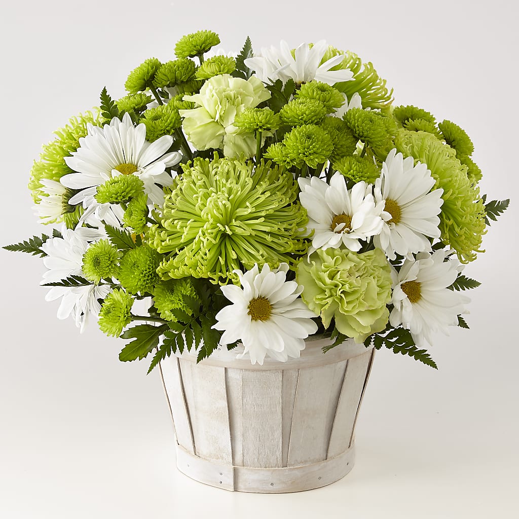 Lucky Charm Basket (Standard) – Dreamy Flowers Llc, Wesley Chapel FL