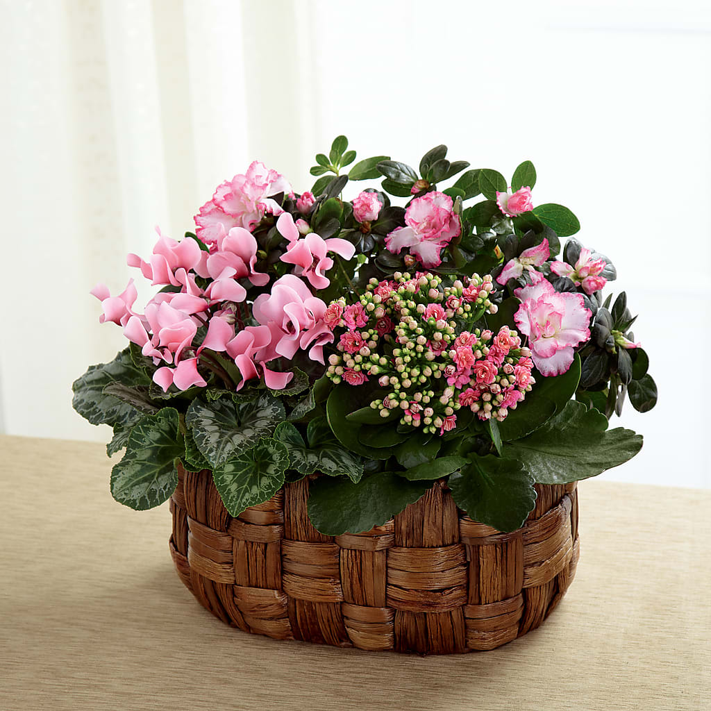 Pink Assortment – Dreamy Flowers Llc, Wesley Chapel FL
