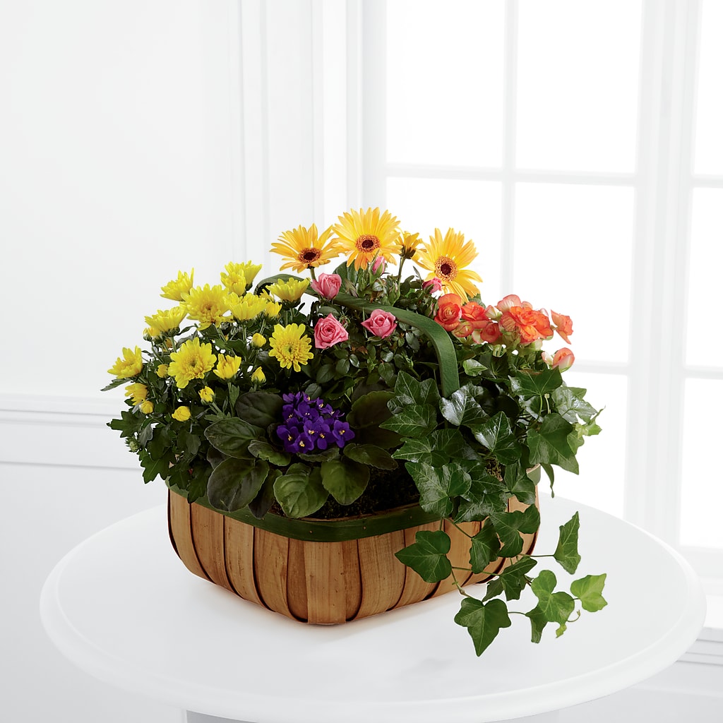 Gentle Blossoms Basket – Dreamy Flowers Llc, Wesley Chapel FL