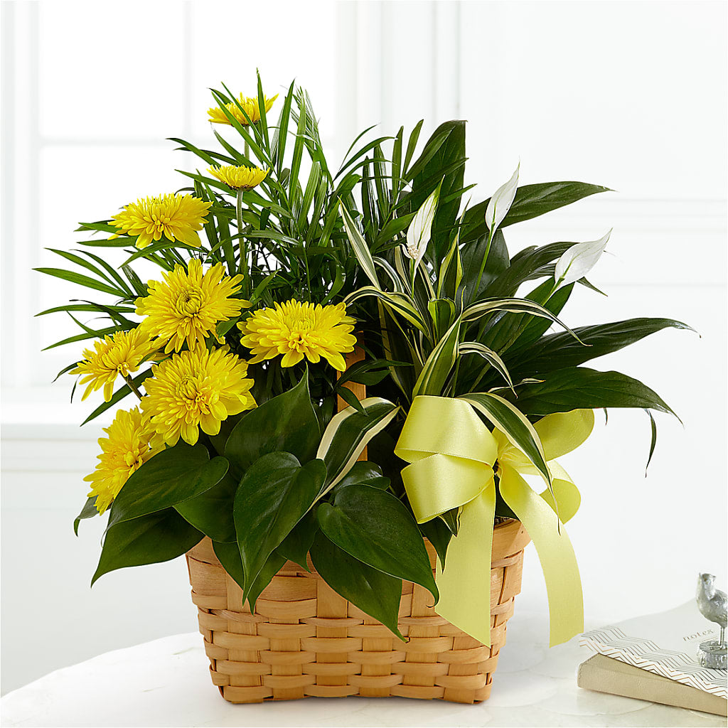 Loving Light Dishgarden – Dreamy Flowers Llc, Wesley Chapel FL