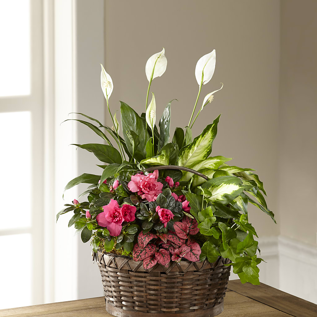 Dream in Pink Dishgarden – Dreamy Flowers Llc, Wesley Chapel FL