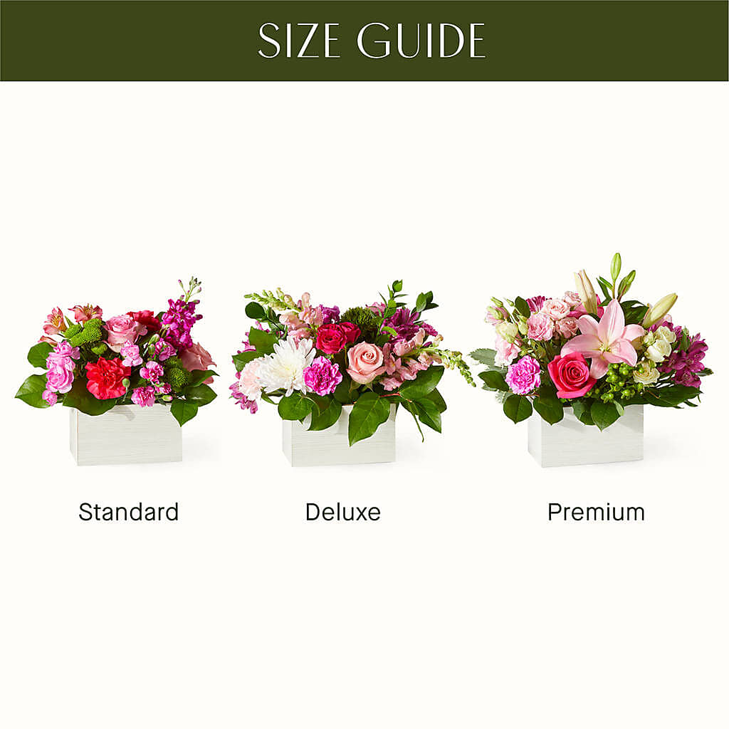 Sweetberry Box – A Florist Original – Dreamy Flowers Llc, Wesley Chapel FL