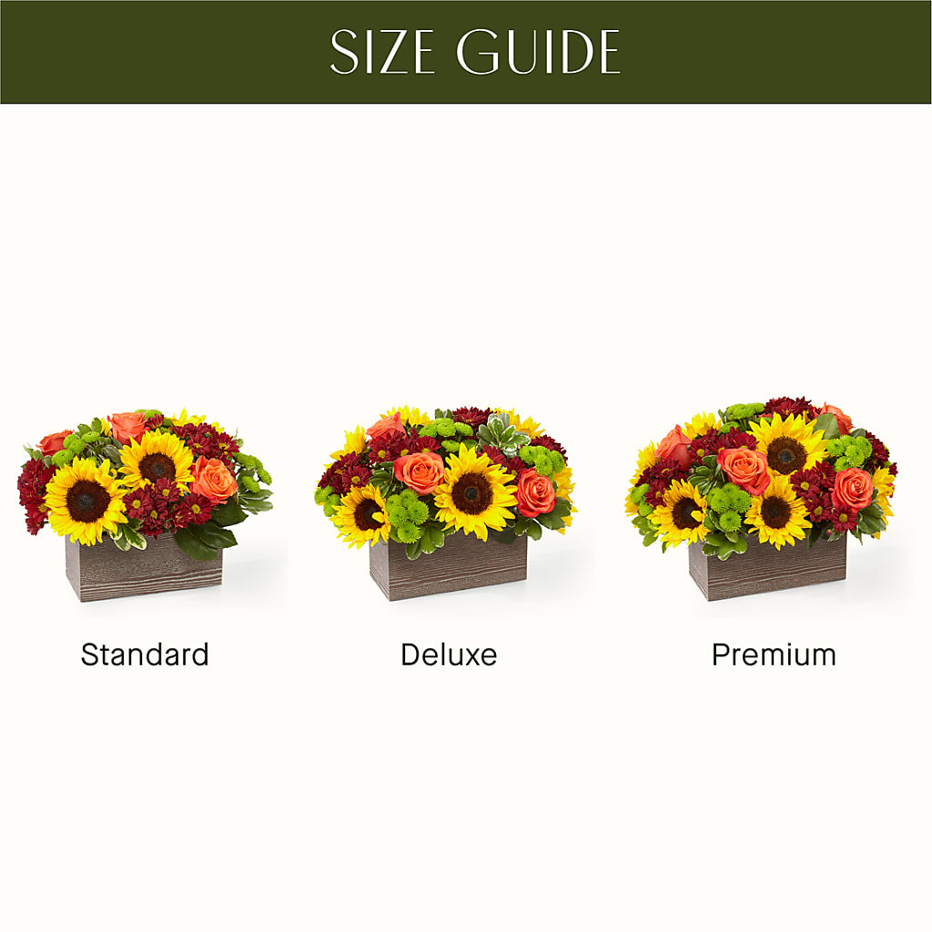 Happy Harvest Garden – Dreamy Flowers Llc, Wesley Chapel FL