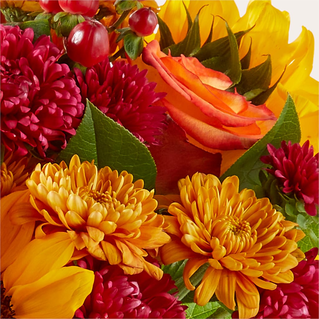 Sweater Season - A Florist Original – Dreamy Flowers Llc, Wesley Chapel FL