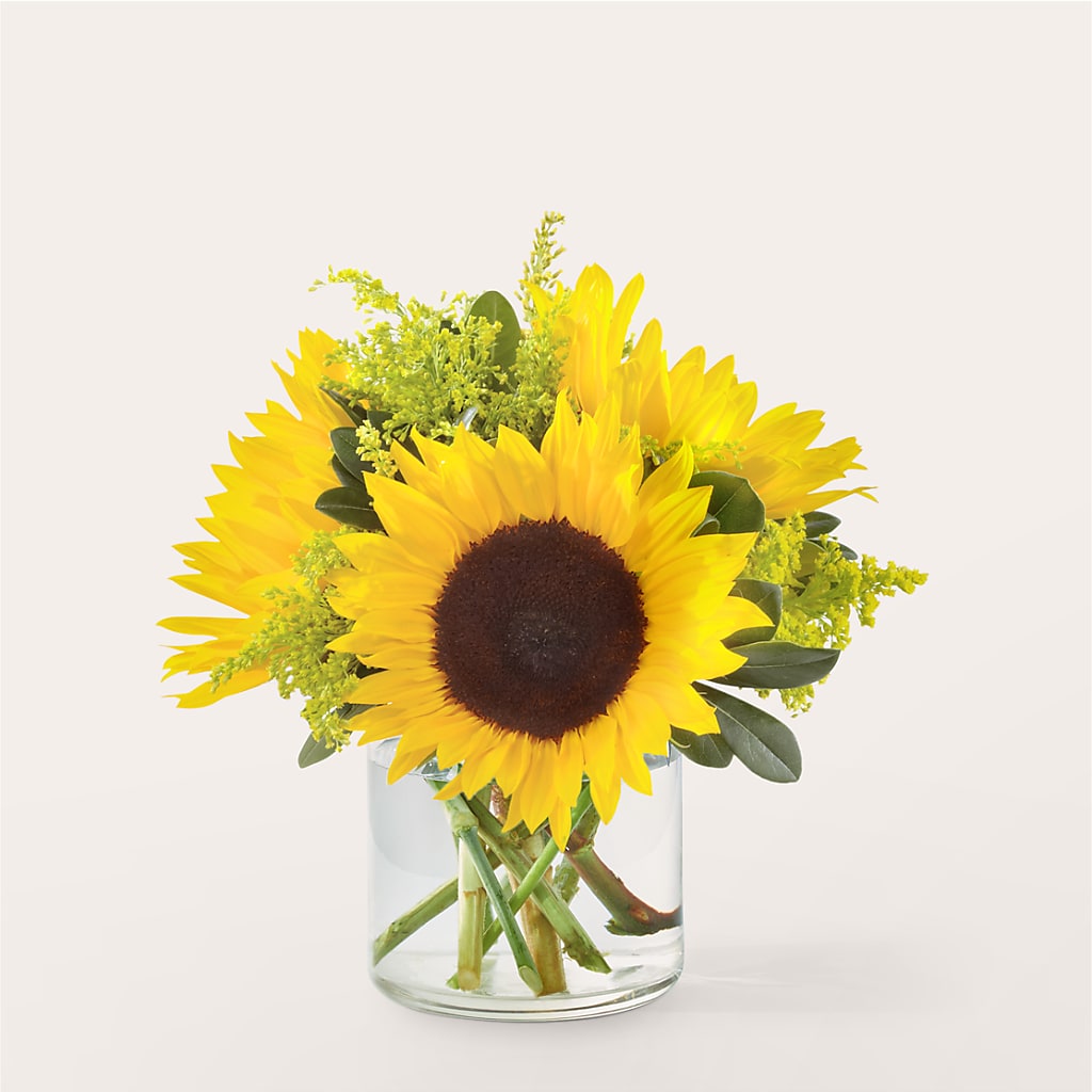 Beaming Sunflower Bouquet – Dreamy Flowers Llc, Wesley Chapel FL