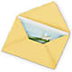 Greeting Card – Dreamy Flowers Llc, Wesley Chapel FL