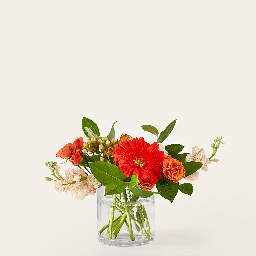 Paloma Please Bouquet – Dreamy Flowers Llc, Wesley Chapel FL