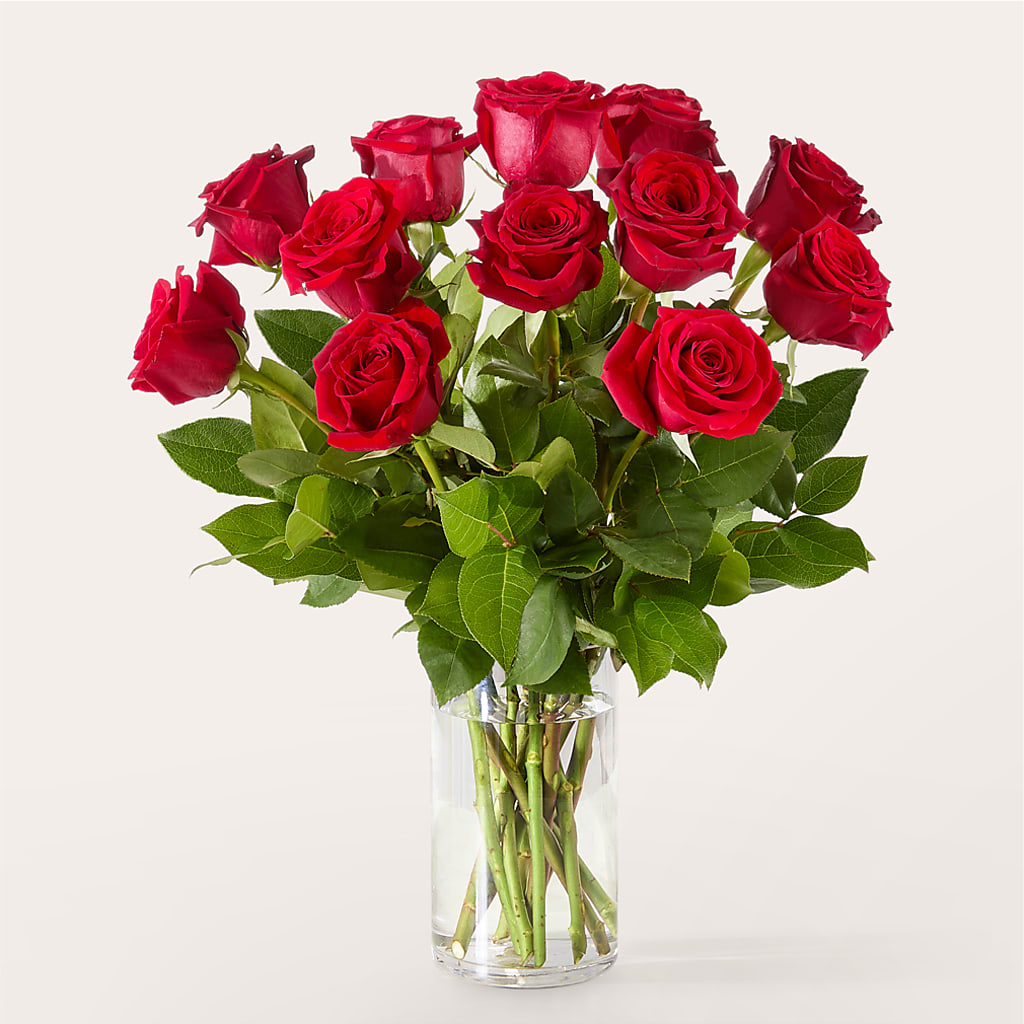 The One Red Rose Bouquet – Dreamy Flowers Llc, Wesley Chapel FL