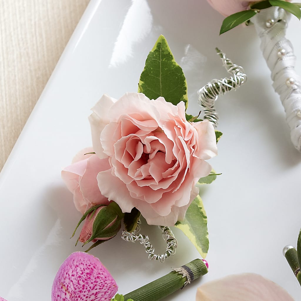 Pink Spray Rose Boutonniere – Dreamy Flowers Llc, Wesley Chapel FL
