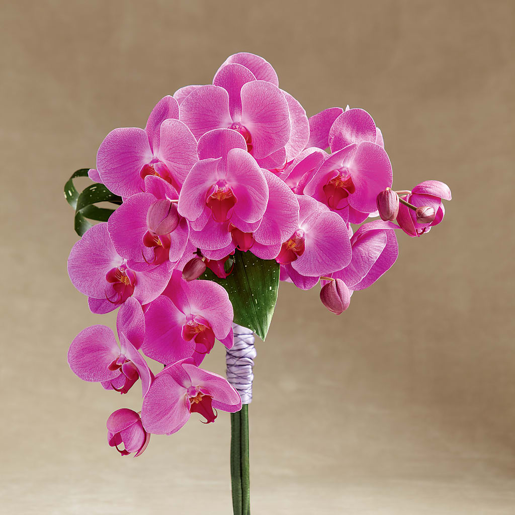 Glorious Bouquet – Dreamy Flowers Llc, Wesley Chapel FL