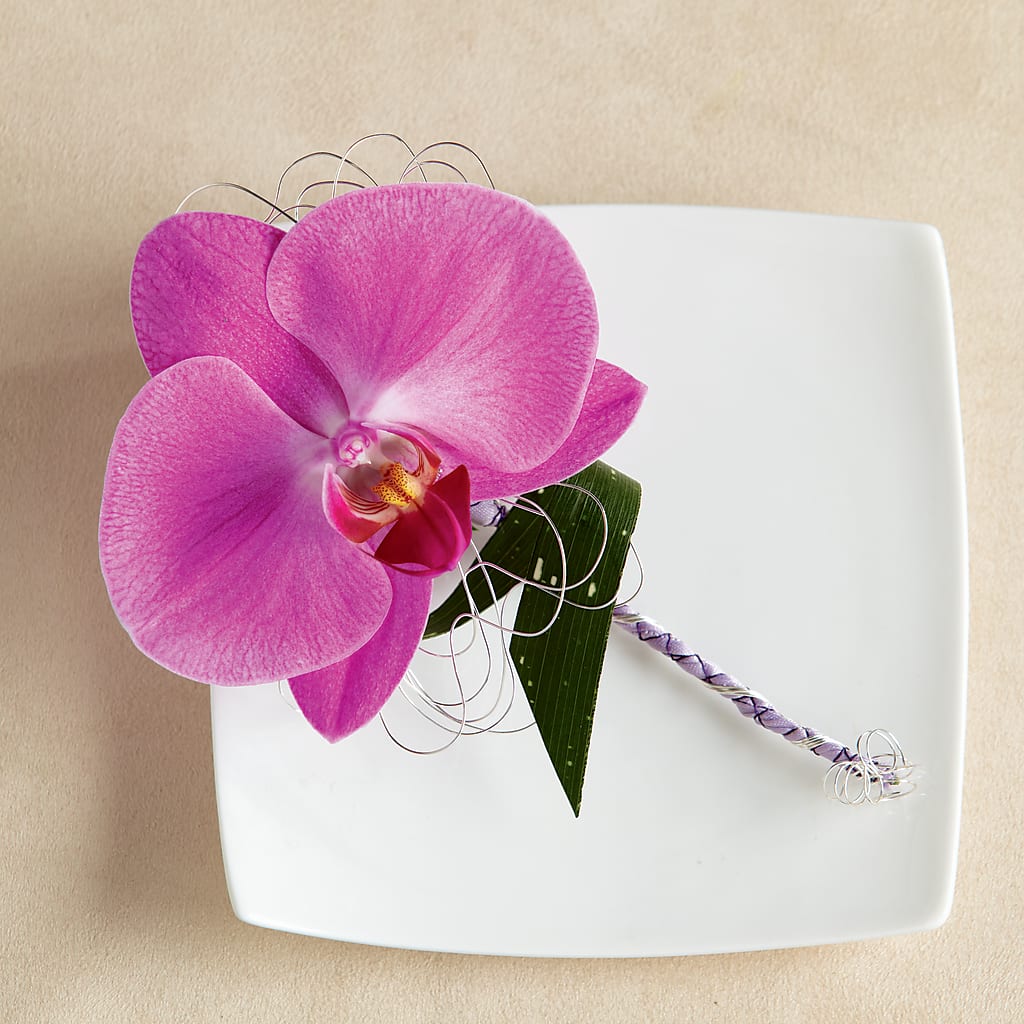 Glorious Boutonniere – Dreamy Flowers Llc, Wesley Chapel FL
