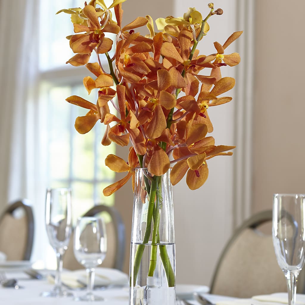 Orange Mokara Bud Vase – Dreamy Flowers Llc, Wesley Chapel FL