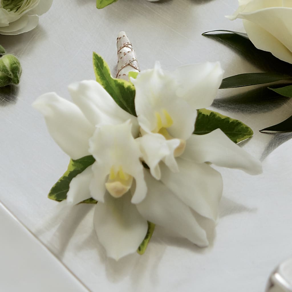 White Mini Cymbidium Boutonniere – Dreamy Flowers Llc, Wesley Chapel FL