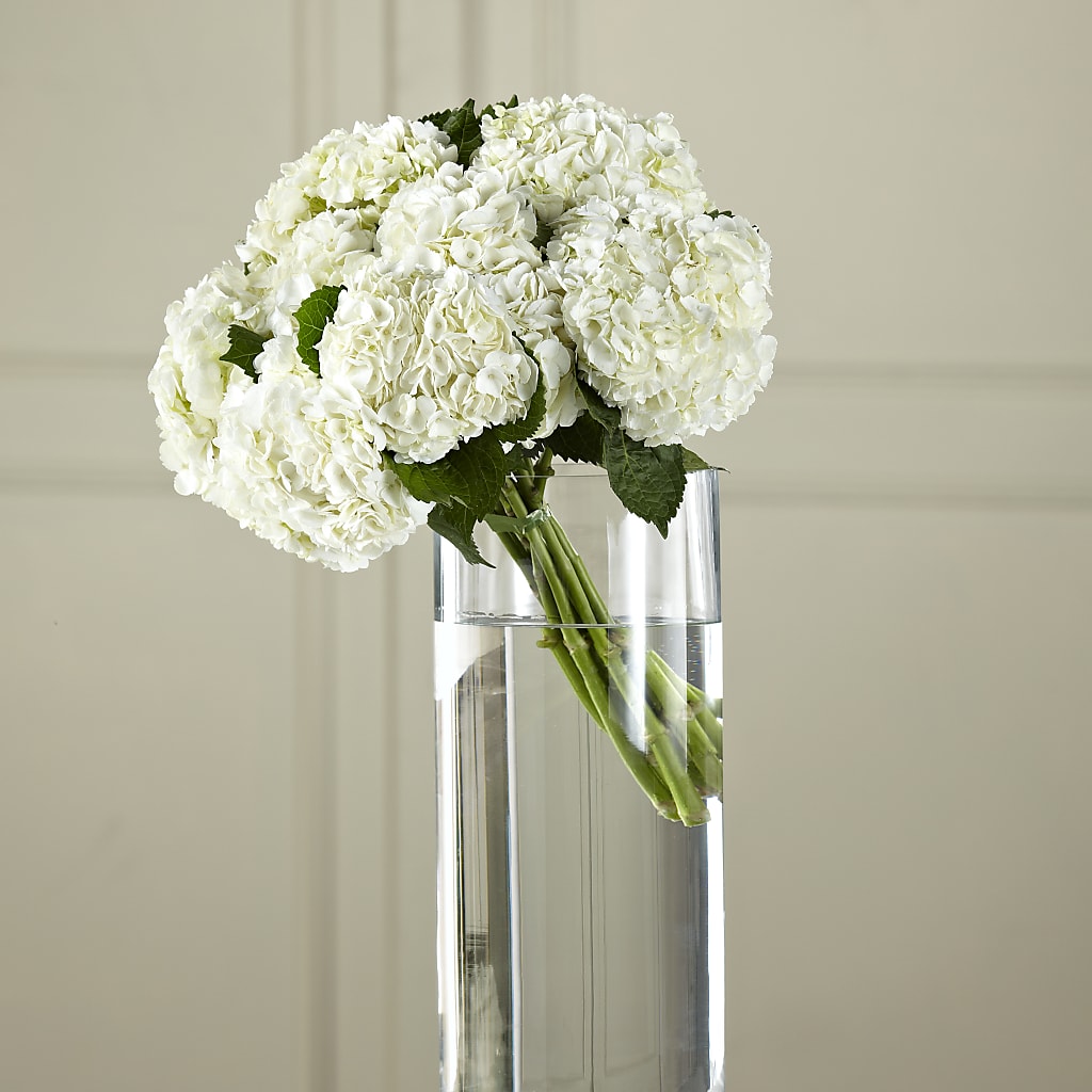 White Hydrangea Hand-Tied Bouquet – Dreamy Flowers Llc, Wesley Chapel FL