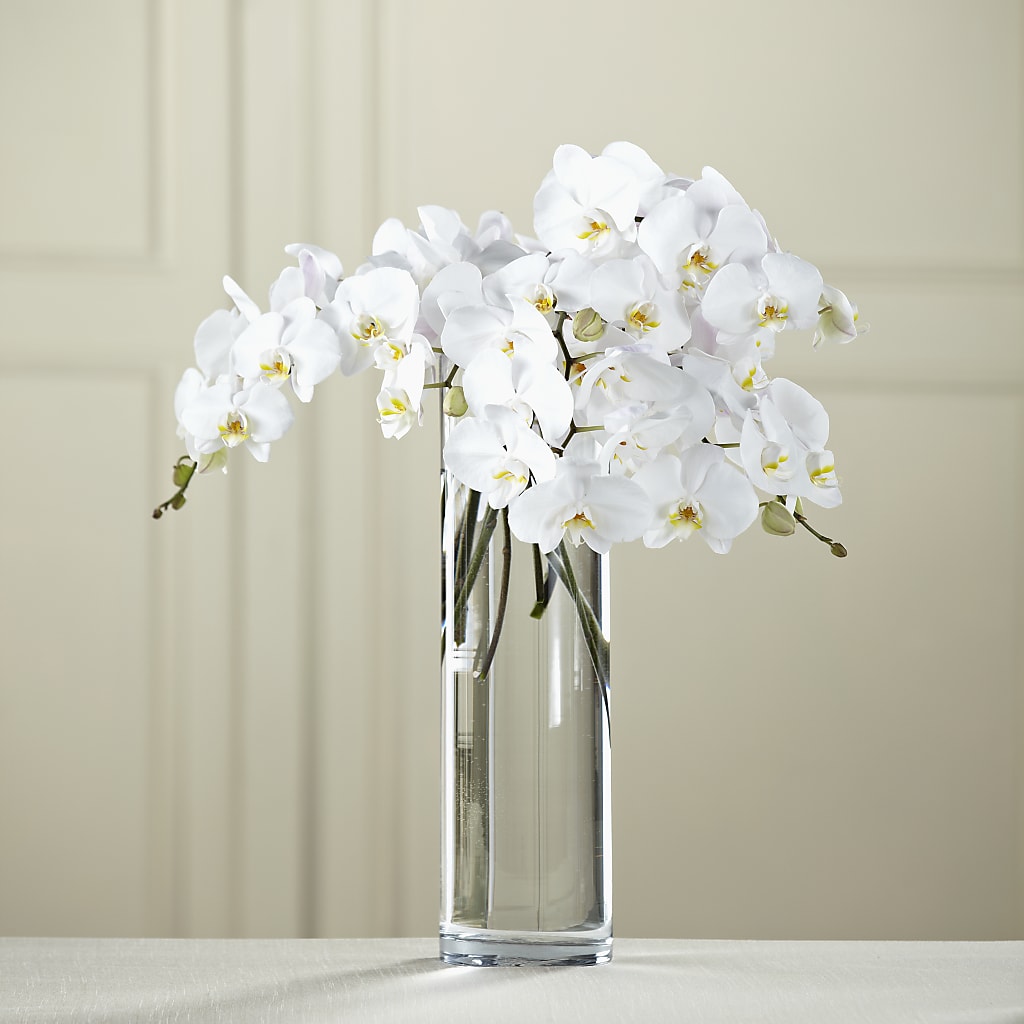 White Phalaenopsis Bouquet – Dreamy Flowers Llc, Wesley Chapel FL