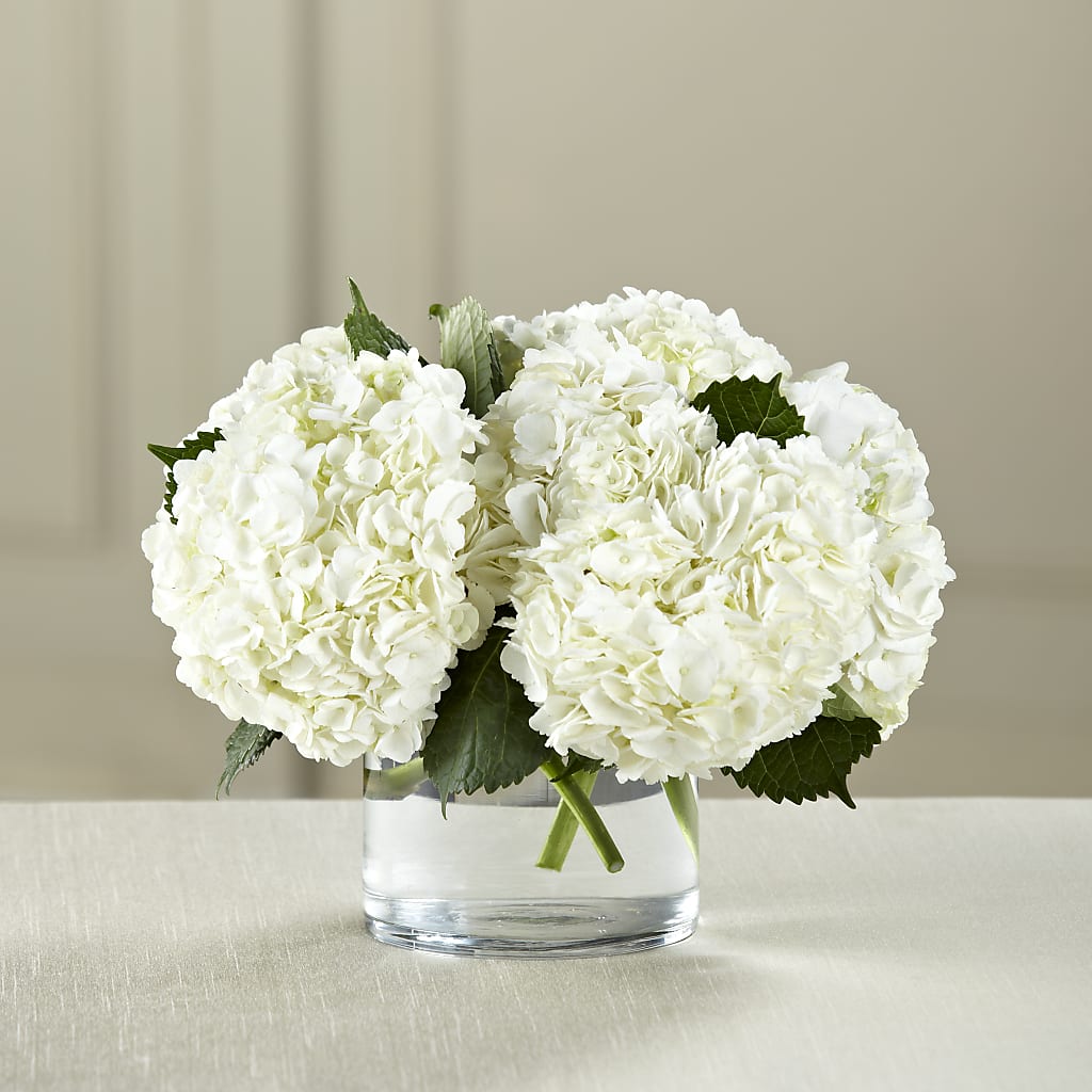 White Hydrangea Bouquet – Dreamy Flowers Llc, Wesley Chapel FL