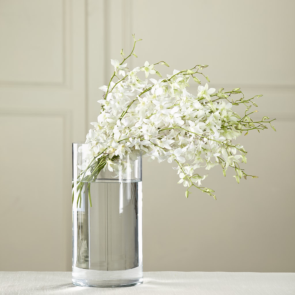 White Dendrobium Bouquet – Dreamy Flowers Llc, Wesley Chapel FL
