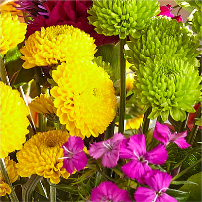 Bold & Bright – A Florist Original –  Dreamy Flowers Llc, Wesley Chapel FL