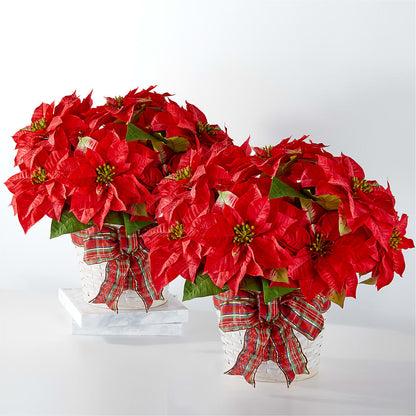 Happiest Holidays Poinsettia Bundle –  Dreamy Flowers Llc, Wesley Chapel FL