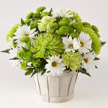 Lucky Charm Basket (Standard) –  Dreamy Flowers Llc, Wesley Chapel FL
