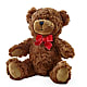 Adorable Plush Bear –  Dreamy Flowers Llc, Wesley Chapel FL