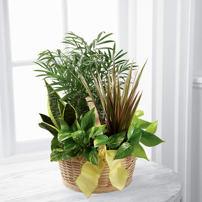 French Garden –  Dreamy Flowers Llc, Wesley Chapel FL