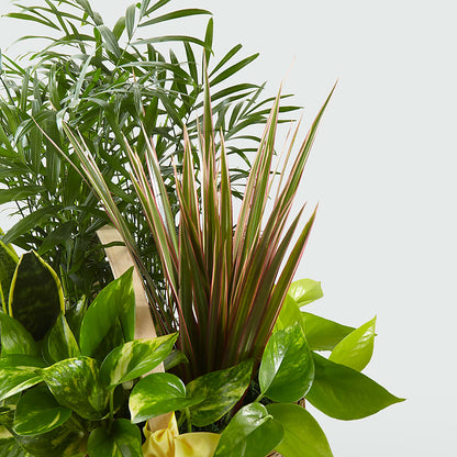 French Garden –  Dreamy Flowers Llc, Wesley Chapel FL