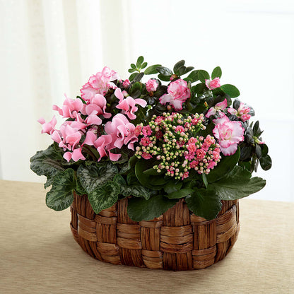 Pink Assortment –  Dreamy Flowers Llc, Wesley Chapel FL