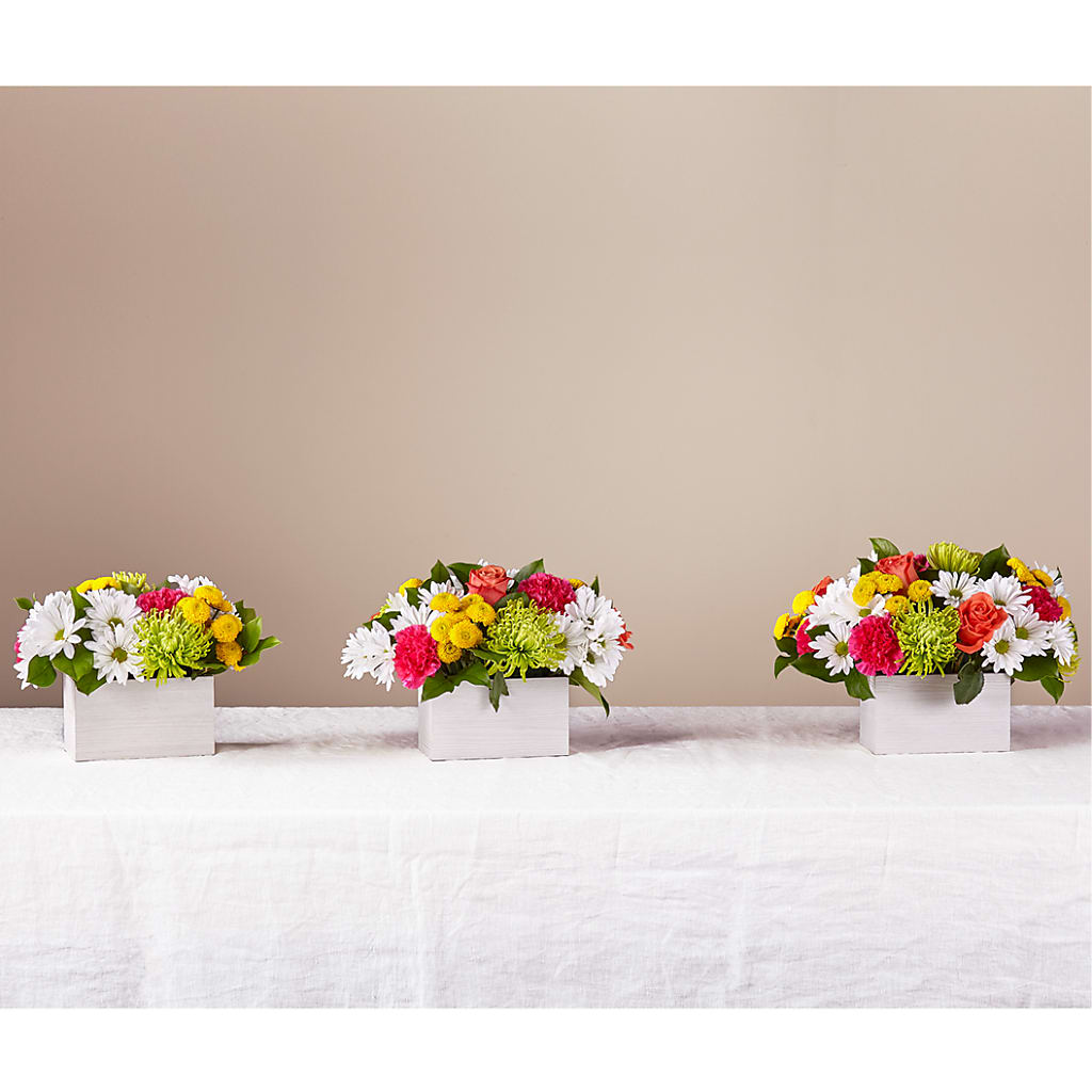 Sorbet Bouquet –  Dreamy Flowers Llc, Wesley Chapel FL