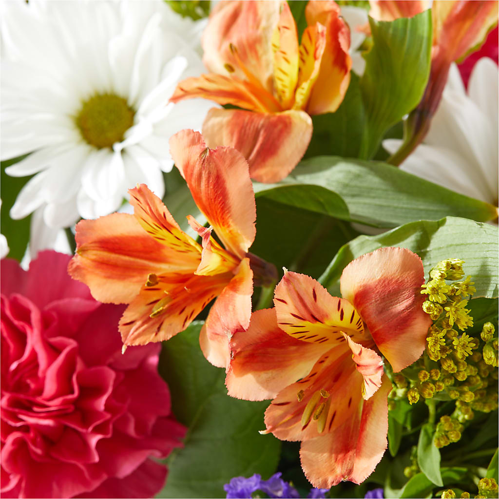 Oopsie Daisy Box Bouquet –  Dreamy Flowers Llc, Wesley Chapel FL