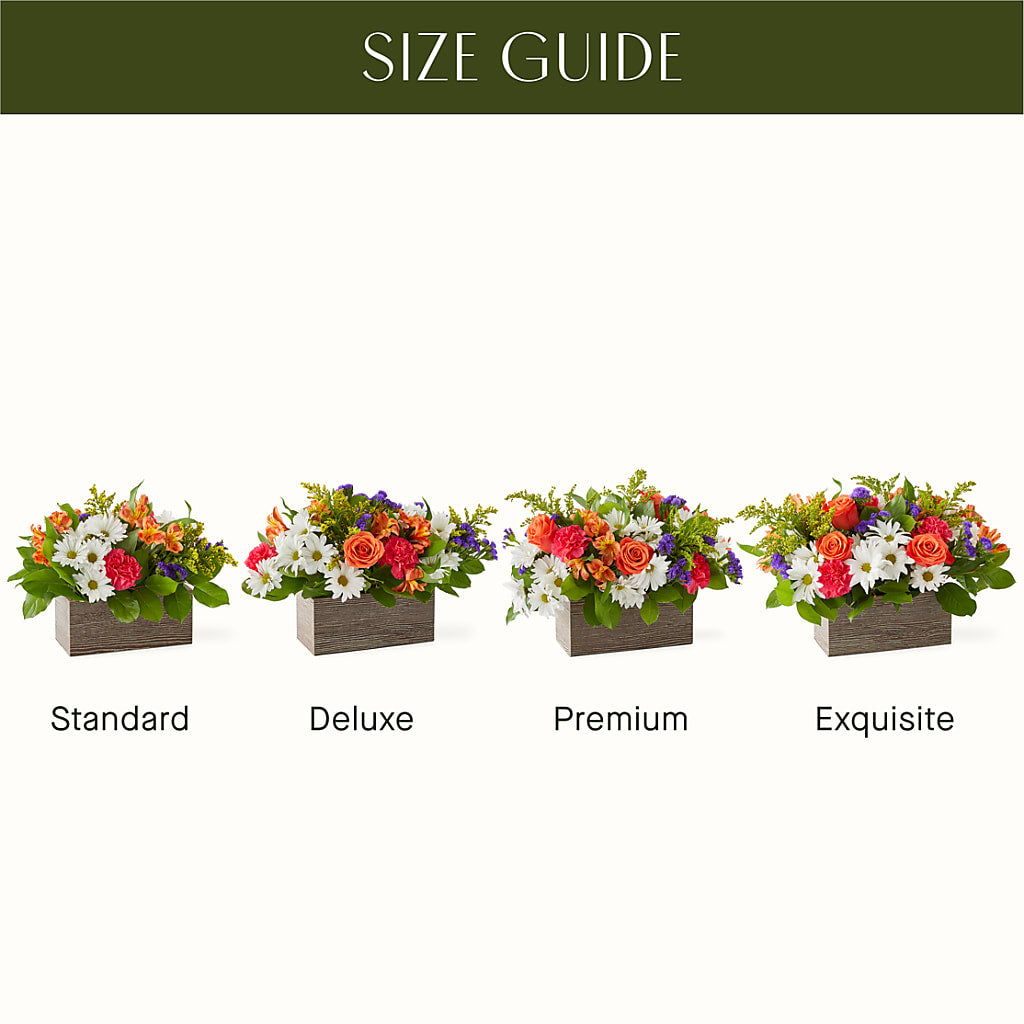 Oopsie Daisy Box Bouquet –  Dreamy Flowers Llc, Wesley Chapel FL