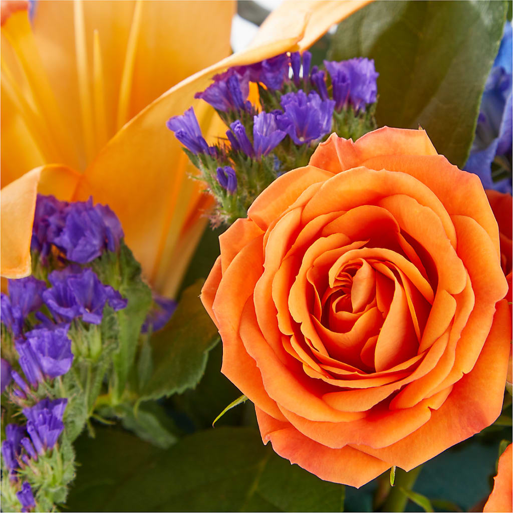 Radiant Citrus Box Bouquet –  Dreamy Flowers Llc, Wesley Chapel FL