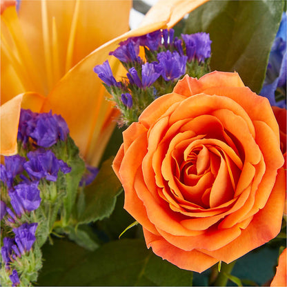 Radiant Citrus Box Bouquet –  Dreamy Flowers Llc, Wesley Chapel FL