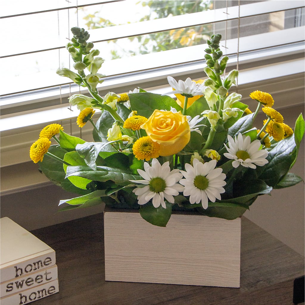 Sun Salutation Box Bouquet –  Dreamy Flowers Llc, Wesley Chapel FL