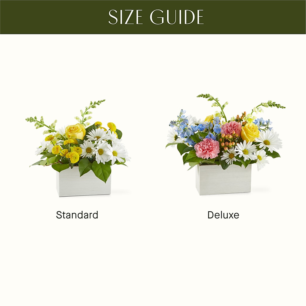 Sun Salutation Box Bouquet –  Dreamy Flowers Llc, Wesley Chapel FL