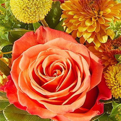 Gourdgeous Pumpkin –  Dreamy Flowers Llc, Wesley Chapel FL