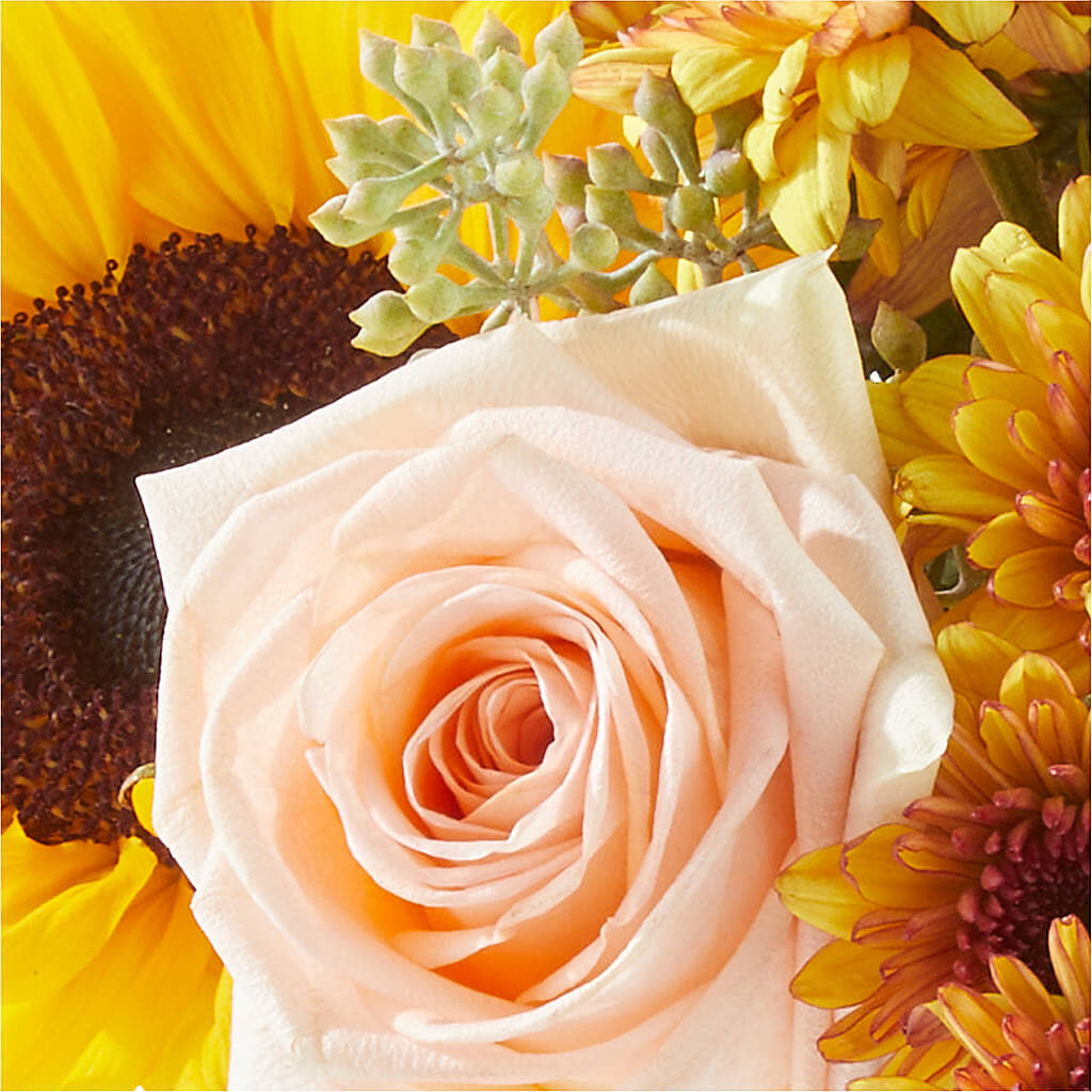 Pumpkin to Talk About Bouquet –  Dreamy Flowers Llc, Wesley Chapel FL