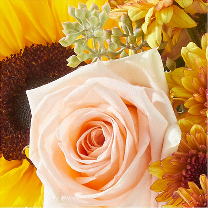 Pumpkin to Talk About Bouquet –  Dreamy Flowers Llc, Wesley Chapel FL