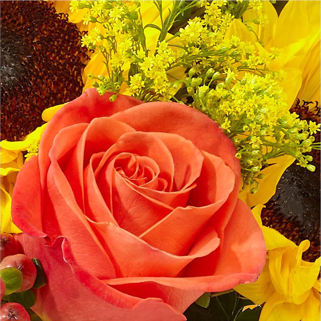 Pick of the Patch Pumpkin Bouquet –  Dreamy Flowers Llc, Wesley Chapel FL