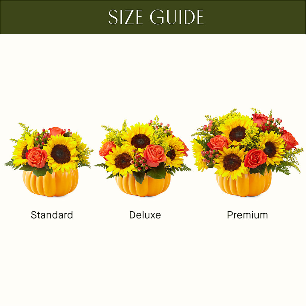 Pick of the Patch Pumpkin Bouquet –  Dreamy Flowers Llc, Wesley Chapel FL