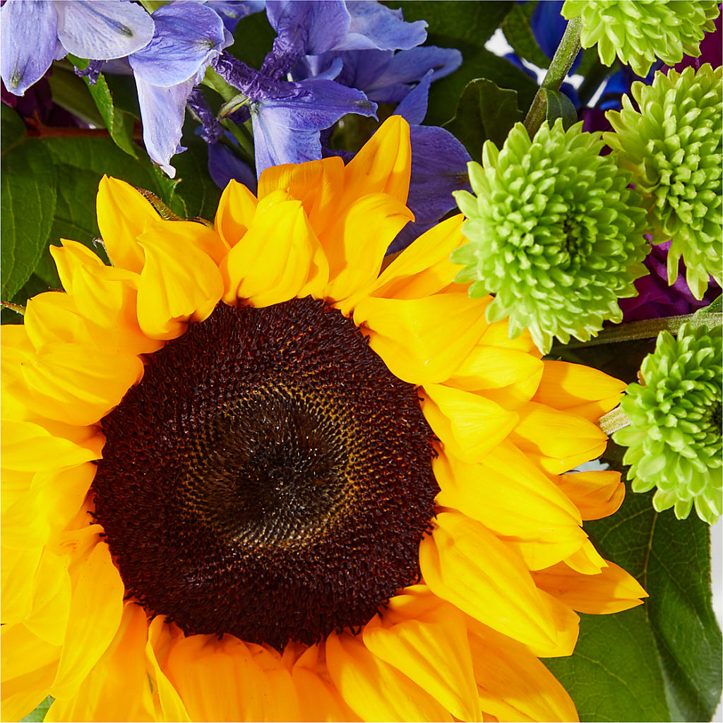 Catching Rays Bouquet –  Dreamy Flowers Llc, Wesley Chapel FL