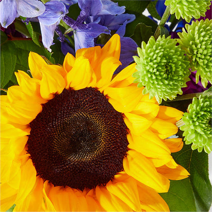 Catching Rays Bouquet –  Dreamy Flowers Llc, Wesley Chapel FL