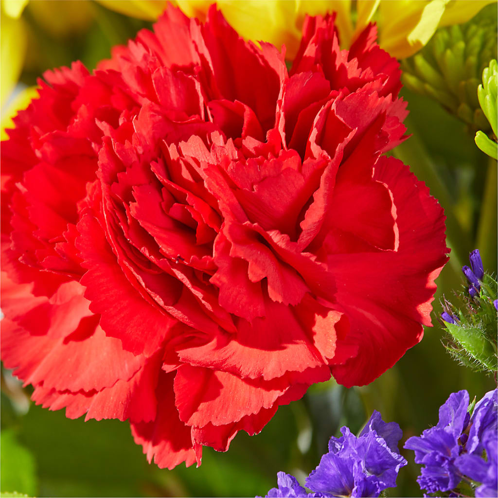 Brighter Days Bouquet –  Dreamy Flowers Llc, Wesley Chapel FL