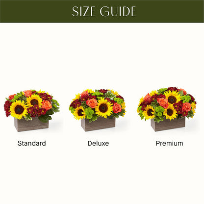 Happy Harvest Garden –  Dreamy Flowers Llc, Wesley Chapel FL