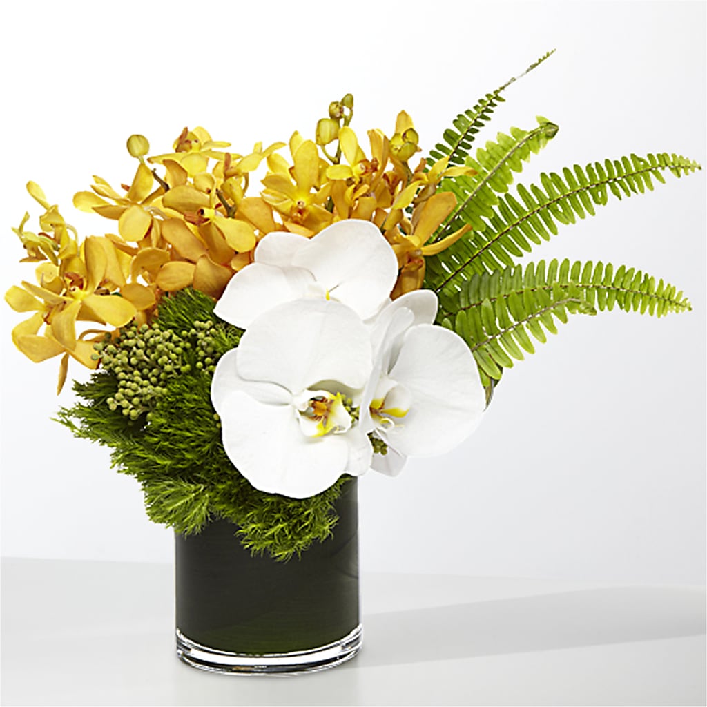 The Tropics –  Dreamy Flowers Llc, Wesley Chapel FL