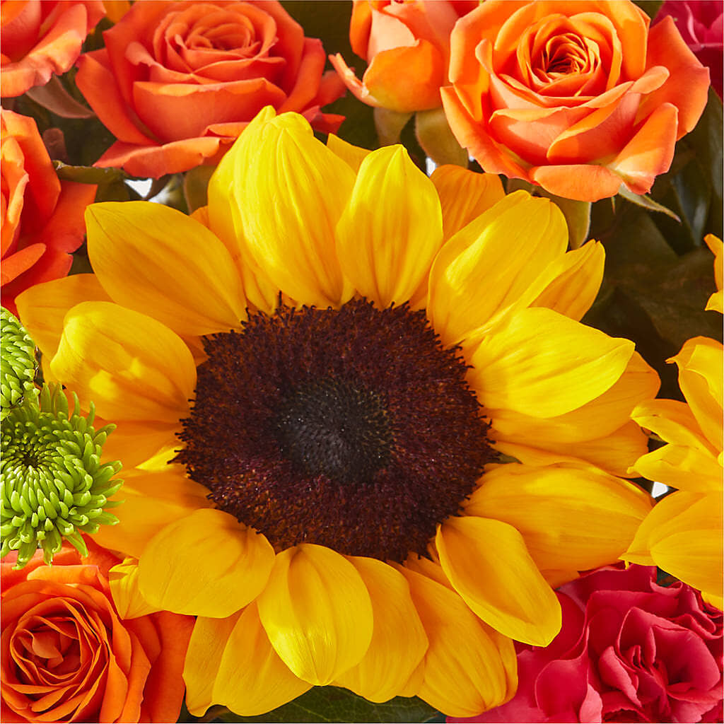 Sun-drenched Blooms Box Bouquet –  Dreamy Flowers Llc, Wesley Chapel FL