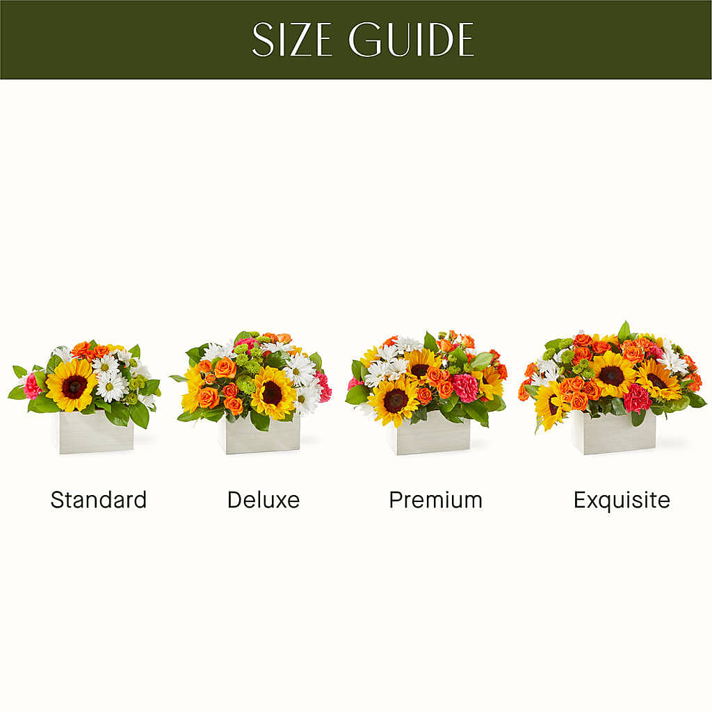 Sun-drenched Blooms Box Bouquet –  Dreamy Flowers Llc, Wesley Chapel FL