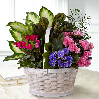 Peaceful Garden Planter –  Dreamy Flowers Llc, Wesley Chapel FL