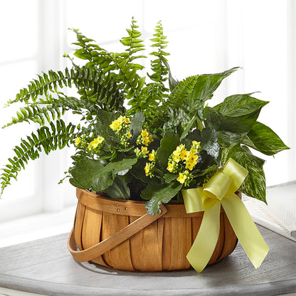Always Dear Dishgarden –  Dreamy Flowers Llc, Wesley Chapel FL