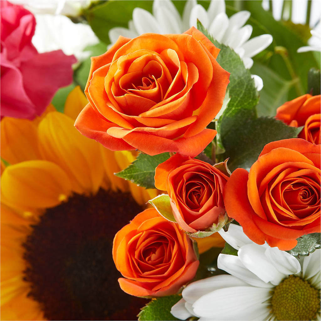 Sun-drenched Blooms Bouquet –  Dreamy Flowers Llc, Wesley Chapel FL